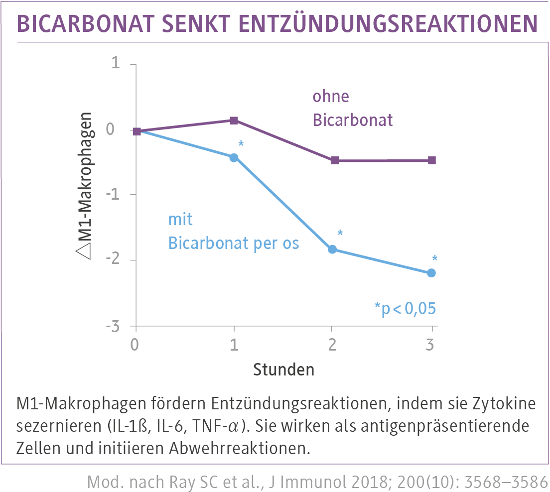 Artikel_5a