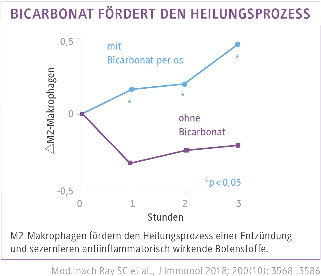 Artikel_5b